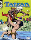 Cover for Tarzan Géant (Sage - Sagédition, 1969 series) #45