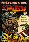 Cover for Misterios del Gato Negro (Editora de Periódicos La Prensa S.C.L., 1953 series) #21