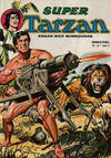Cover for Tarzan Super (Sage - Sagédition, 1973 series) #13