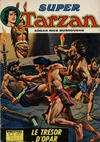 Cover for Tarzan Super (Sage - Sagédition, 1973 series) #14