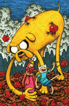 Cover Thumbnail for Adventure Time (2012 series) #1 [Cover D by Jeffrey Brown]