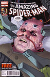 Cover Thumbnail for The Amazing Spider-Man (1999 series) #698 [Direct Edition]