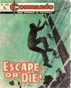 Cover for Commando (D.C. Thomson, 1961 series) #1032