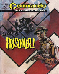Cover Thumbnail for Commando (D.C. Thomson, 1961 series) #1206