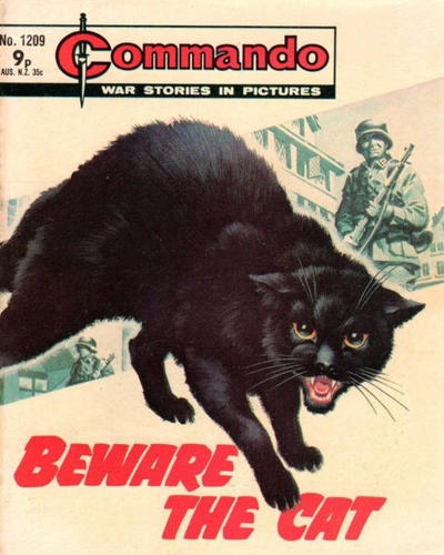 Cover for Commando (D.C. Thomson, 1961 series) #1209