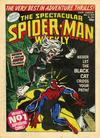 Cover for The Spectacular Spider-Man Weekly (Marvel UK, 1979 series) #350