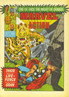 Cover for Marvel Action (Marvel UK, 1981 series) #10