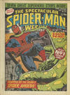 Cover for The Spectacular Spider-Man Weekly (Marvel UK, 1979 series) #337