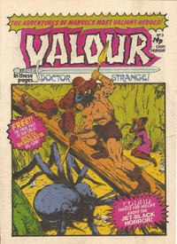 Cover Thumbnail for Valour (Marvel UK, 1980 series) #3