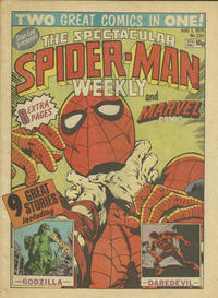 Cover Thumbnail for The Spectacular Spider-Man Weekly (Marvel UK, 1979 series) #334