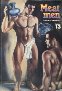Cover Thumbnail for Meatmen (Leyland Publications, 1987 series) #13