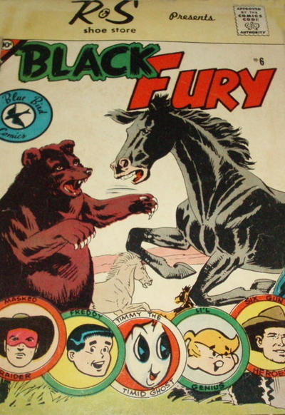 Cover for Black Fury (Charlton, 1959 series) #6