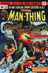 Cover for Man-Thing (Marvel, 1974 series) #11 [British]