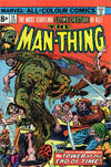 Cover for Man-Thing (Marvel, 1974 series) #14 [British]
