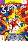 Cover for Super-Heróis (Agência Portuguesa de Revistas, 1982 series) #41