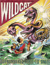 Cover for Wildcat (Fleetway Publications, 1988 series) #12