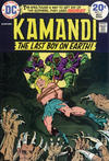 Cover for Kamandi, the Last Boy on Earth (DC, 1972 series) #17