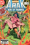 Cover for Arak / Son of Thunder (DC, 1981 series) #30 [Direct]