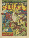 Cover for The Spectacular Spider-Man Weekly (Marvel UK, 1979 series) #336