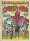 Cover for The Spectacular Spider-Man Weekly (Marvel UK, 1979 series) #341