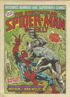 Cover for The Spectacular Spider-Man Weekly (Marvel UK, 1979 series) #346