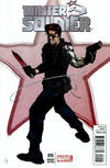 Cover for Winter Soldier (Marvel, 2012 series) #15 [Variant Edition]