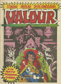 Cover Thumbnail for Valour (Marvel UK, 1980 series) #9