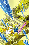 Cover for Adventure Time with Fionna & Cake (Boom! Studios, 2013 series) #1 [Cover D by Ethan Rilly]