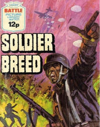 Cover Thumbnail for Battle Picture Library (IPC, 1961 series) #1101
