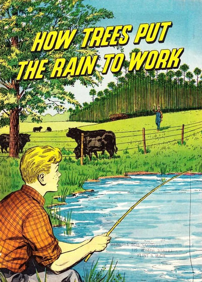 Cover for How Trees Put the Rain to Work (International Paper Co., 1956 series) 