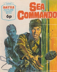 Cover Thumbnail for Battle Picture Library (IPC, 1961 series) #743