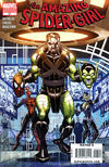 Cover for Amazing Spider-Girl (Marvel, 2006 series) #27 [Villain Variant]
