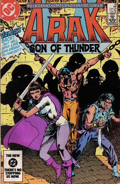 Cover for Arak / Son of Thunder (DC, 1981 series) #38 [Direct]