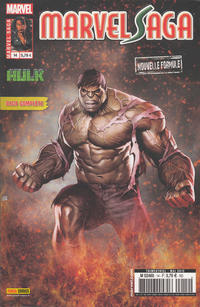 Cover Thumbnail for Marvel Saga (Panini France, 2009 series) #14