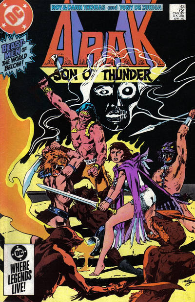 Cover for Arak / Son of Thunder (DC, 1981 series) #43 [Direct]