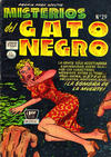 Cover for Misterios del Gato Negro (Editora de Periódicos, S. C. L. "La Prensa", 1953 series) #29