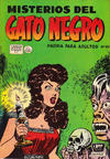 Cover for Misterios del Gato Negro (Editora de Periódicos, S. C. L. "La Prensa", 1953 series) #43