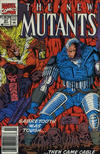 Cover for The New Mutants (Marvel, 1983 series) #91 [Newsstand]