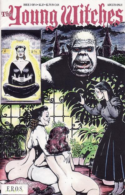 Cover for The Young Witches (Fantagraphics, 1991 series) #3