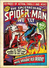 Cover for The Spectacular Spider-Man Weekly (Marvel UK, 1979 series) #340