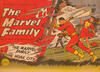 Cover for The Marvel Family (Cleland, 1948 series) #41
