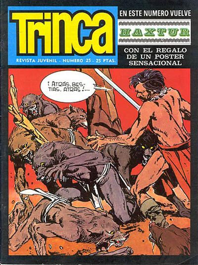 Cover for Trinca (Doncel, 1970 series) #25
