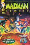 Cover for Madman Comics (Dark Horse, 1994 series) #13