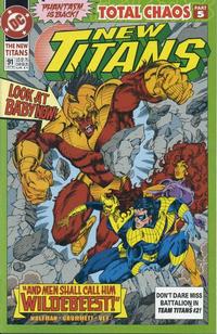 Cover Thumbnail for The New Titans (DC, 1988 series) #91