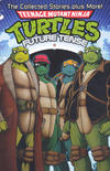 Cover for Teenage Mutant Ninja Turtles: Future Tense (Mirage, 2009 series) 
