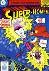 Cover for Super-Heróis (Agência Portuguesa de Revistas, 1982 series) #13