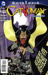 Cover for Catwoman (DC, 2011 series) #27 [Direct Sales]