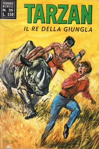 Cover Thumbnail for Tarzan (Editrice Cenisio, 1968 series) #35