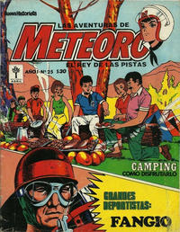 Cover Thumbnail for Meteoro (Editorial Abril, 1975 series) #25