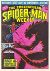 Cover for The Spectacular Spider-Man Weekly (Marvel UK, 1979 series) #358